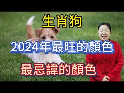 生肖狗 幸運色|【屬狗幸運色】揭秘2024年屬狗必備幸運色！衝破運。